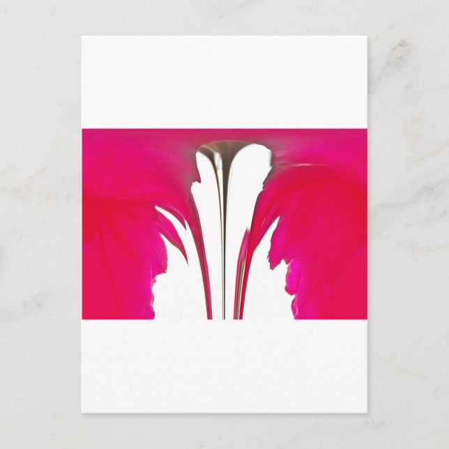 Carte Postale Chic rouge extraordinaire rose sous le ciel blanc. (Devant)