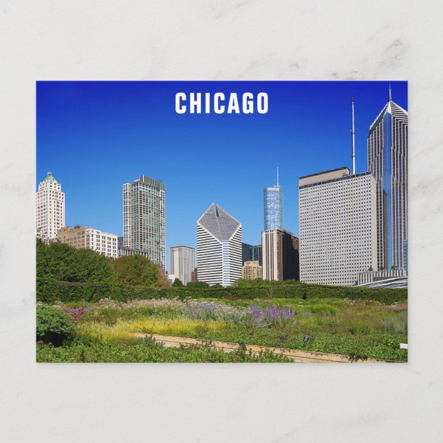Carte Postale Chicago Illinois City Skyline (Devant)
