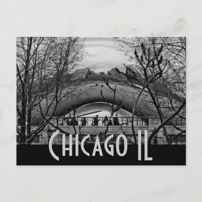 Carte Postale chicago - le haricot (Devant)