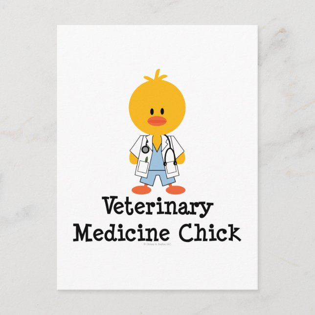 Carte postale Chick en médecine vétérinaire (Devant)