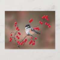 CHICKADEE & BERRIES ROUGES par SHARON SHARPE