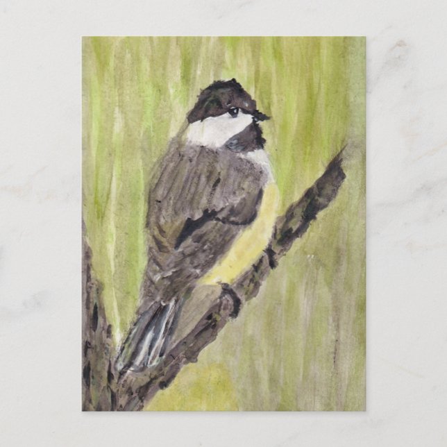 Carte Postale Chickadee Bird - peinture acrylique. (Devant)