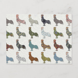 Carte Postale Chicken Rooster Coloré ferme Motif