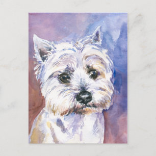 Carte Postale Chien