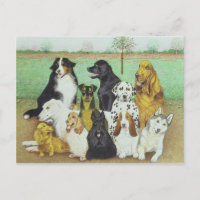 Chien