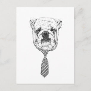 Carte Postale chien