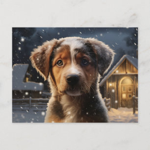 Carte postale Chien 1-21