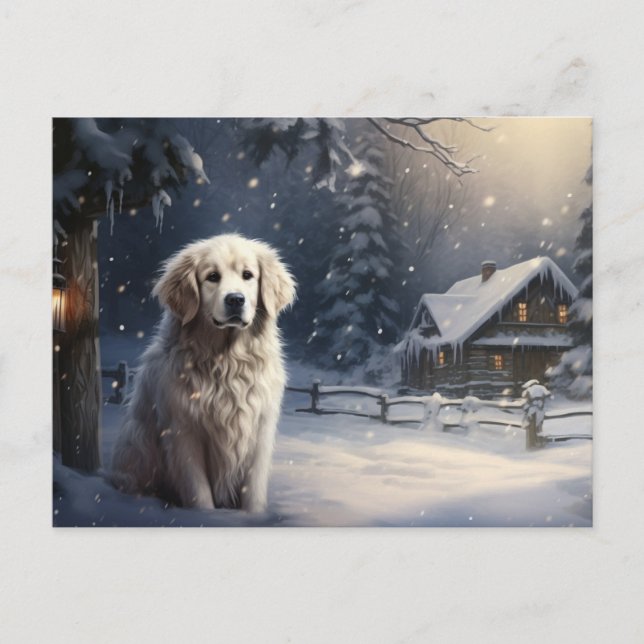 Carte postale Chien 5-10 Postcard (Front)