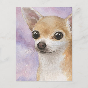 Carte Postale Chien 95 Chihuahua