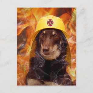 Carte Postale Chien à feu