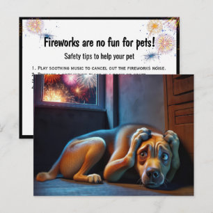 Carte Postale Chien à poils effrayés observant les feux d'artifi