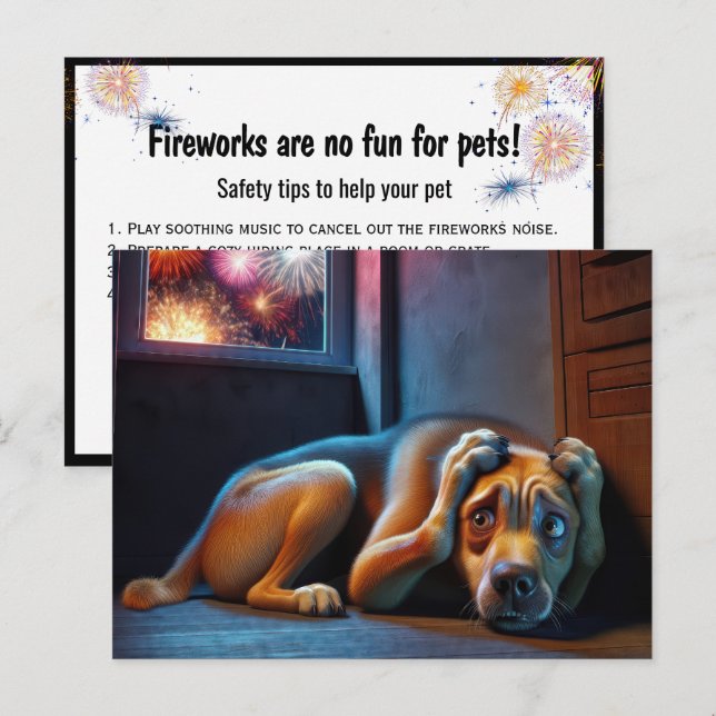 Carte Postale Chien à poils effrayés observant les feux d'artifi (Devant / Derrière)