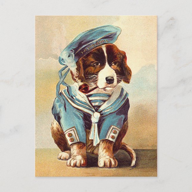 Carte Postale Chien à voile vintage (Devant)