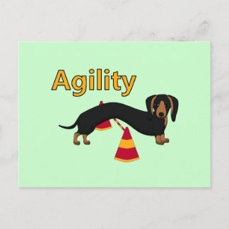 Carte Postale chien agilité