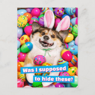Carte Postale Chien allongé sur des œufs de Pâques