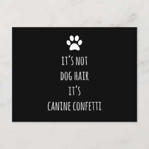 Carte Postale CHIEN Animaux de compagnie Styliste Cute Groomer V