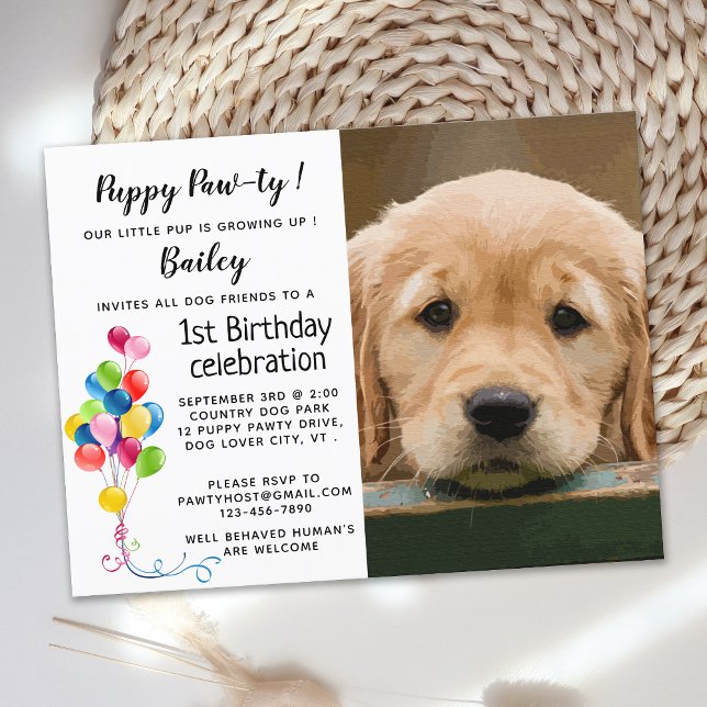 Carte Postale Chien Anniversaire Fête Animaux de compagnie Photo (Créateur téléchargé)