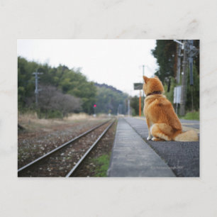 Carte Postale Chien assis à la gare