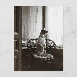 Carte Postale Chien assis près de la fenêtre Reproduction d'art