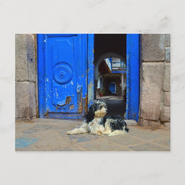 Carte Postale Chien attendant devant la porte bleue, Cusco, Péro (Devant)