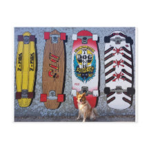 Chien avec Dogtown skboard murale
