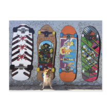 Chien avec Skateboards Mural