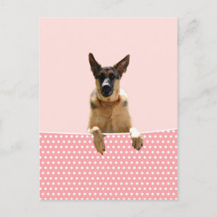 Carte Postale Chien berger allemand Pois roses