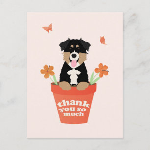 Carte Postale Chien berger australien dans un pot de fleurs Merc