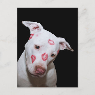 Carte Postale Chien blanc amoureux, Scellé avec baisers en bâton