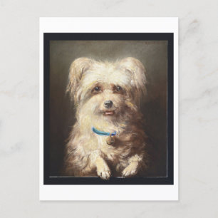 Carte Postale Chien blanc avec collier bleu Vintage