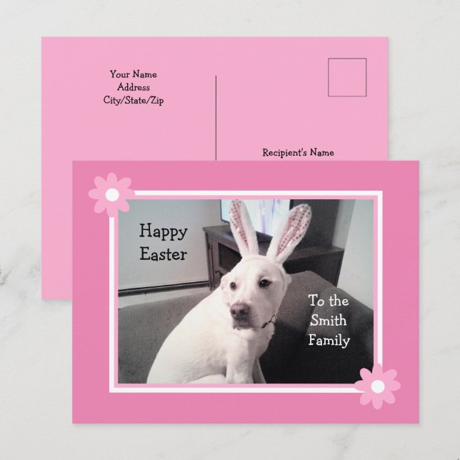Carte Postale Chien blanc mignon portant lapin de Pâques oreille (Devant / Derrière)