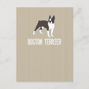 Carte Postale chien-Boston Terrier