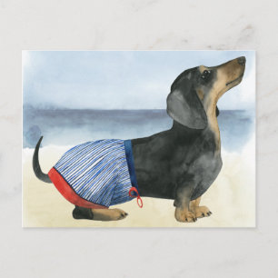 Carte Postale Chien chaud   Chiot Dans Les Troncs De Baignade