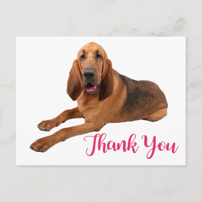 Carte postale Chien Chien Merci rose (Devant)