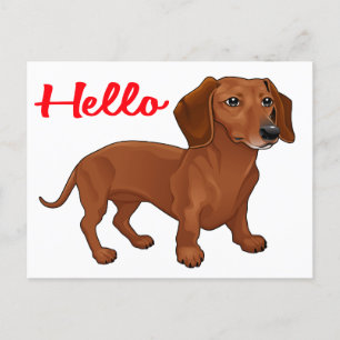 Carte Postale Chien chiot de Dachshund - Red Hello, Penser à vou