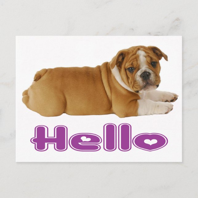 Carte Postale Chien chiot de taureau anglais - Bonjour Coeur pou (Devant)