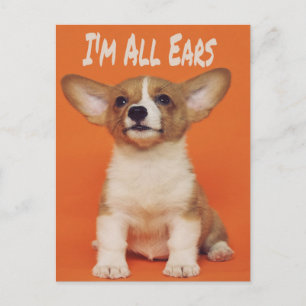 Carte Postale Chien chiot Je suis tous des oreilles, mignon mème