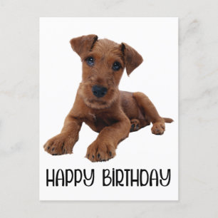 Carte Postale Chien chiot mignon Airedale Terrier Anniversaire