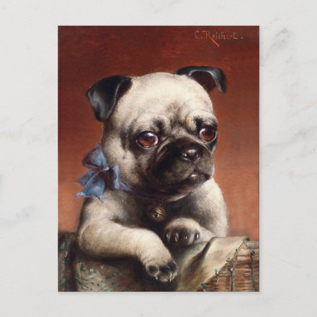 Carte Postale Chien chiot mignon Carlin (Devant)
