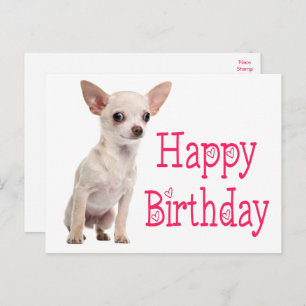 Carte Postale Chien chiot mignon drôle Chihuahua anniversaire 