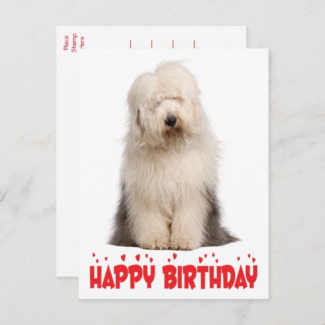 Carte Postale Chien chiot mignon vieux anglais Sheepdog Annivers (Devant / Derrière)