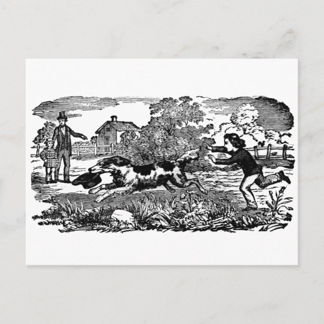 Carte Postale Chien courant art animal antique illustration vict (Devant)
