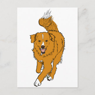 Carte Postale Chien d'arrêt de tintement de canard de la