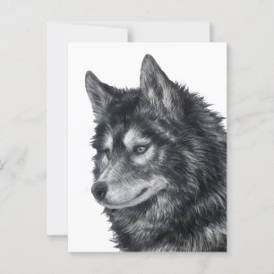 Carte Postale Chien de Balto