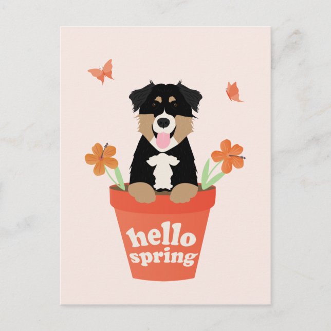 Carte Postale Chien De Berger Australien En Pot De Fleurs (Devant)