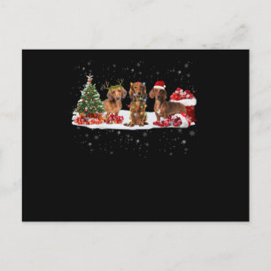 Carte Postale chien de berger christmas lights vend for her