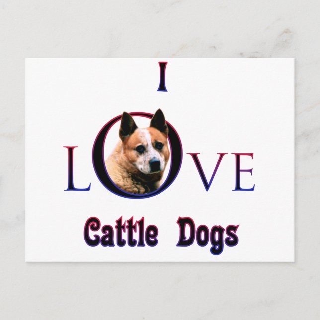 Carte Postale Chien de bétail australien que j'aime (Devant)
