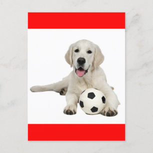 Carte postale Chien de Chien de Chien de Chien de 