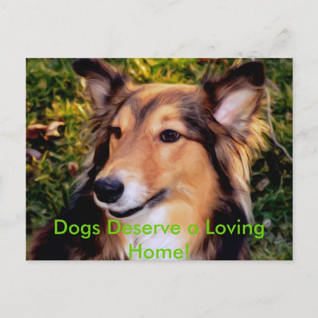 Carte Postale Chien de délivrance (Devant)