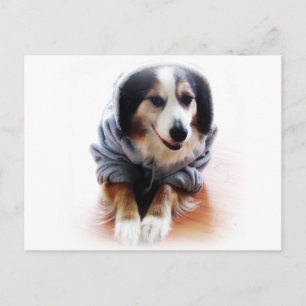 Carte Postale Chien de Gangsta portant le Sweat - shirt à capuch